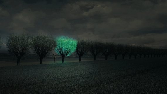 Glowing-Trees