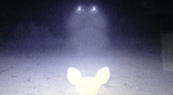 Jackson County trail cam ufo 2 600x330 570x313