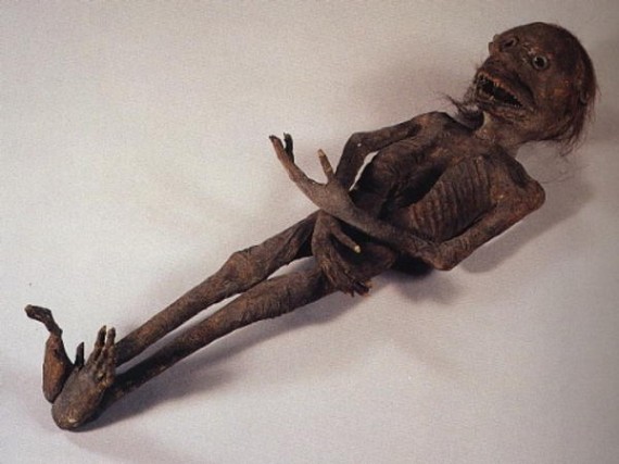 Mummies of Supernatural Creatures Exist in Japan 5 570x427
