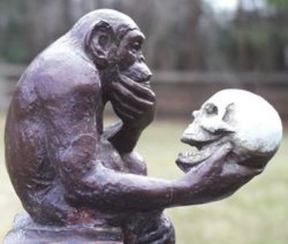 ape holding skull 570x483