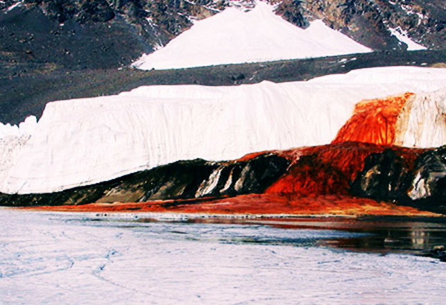 The Blood Falls: A Horror Movie and an Astrobiological Wet-Dream