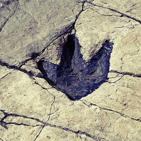 Dinosaur Chase Tracks Recreated in 3D