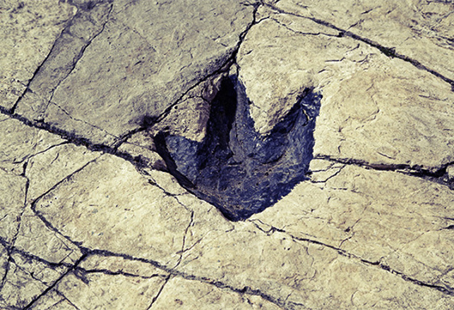Dinosaur Chase Tracks Recreated in 3D