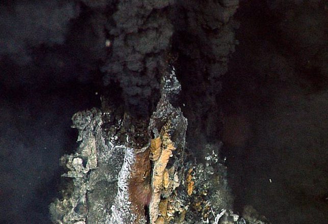 Did Life Spring From Hot Springs?