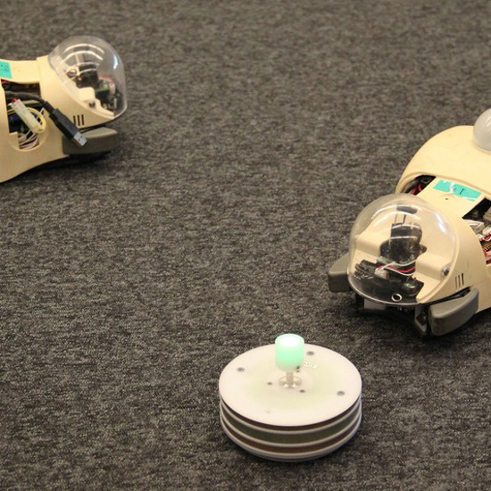Rodent Robots Get Randy for Research