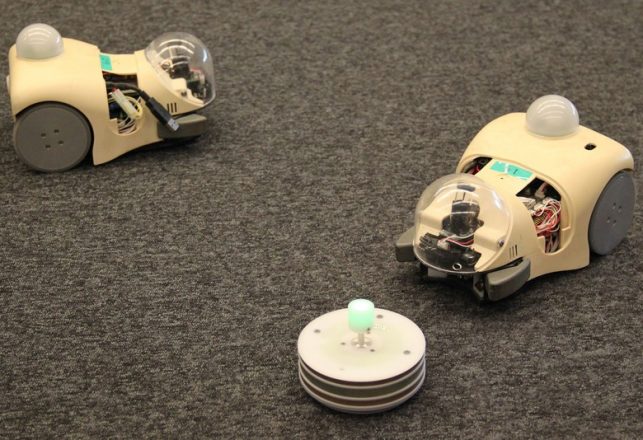 Rodent Robots Get Randy for Research