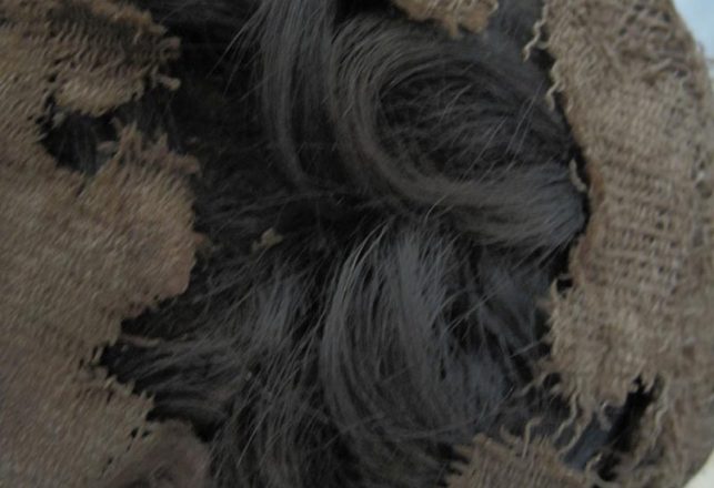 Arsenic and Old Mummy Hair