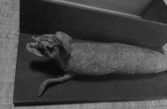 tsuchinoko mummy 710x4641 570x372