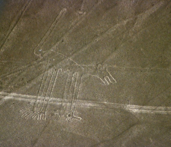 Nazca dog 570x490