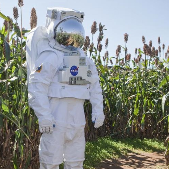The Future of Space Colonies Depends on Subsistence Farming
