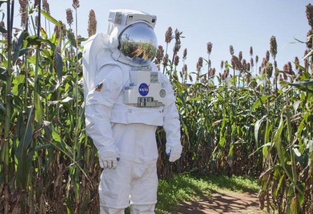The Future of Space Colonies Depends on Subsistence Farming