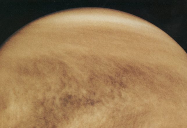 Is There Life on Venus?