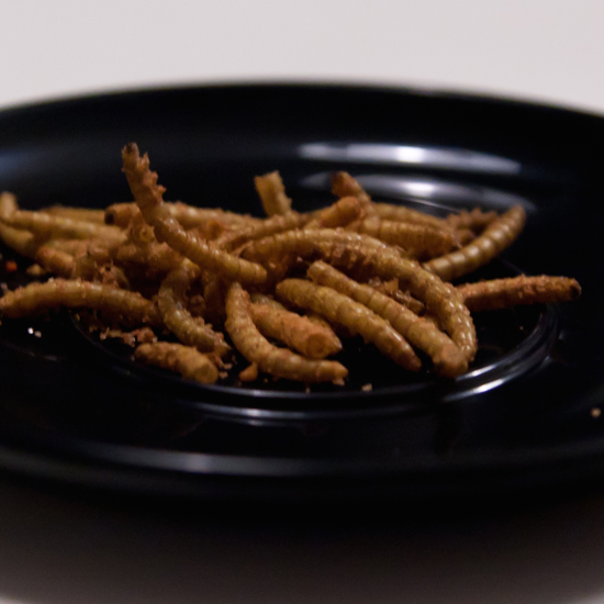 Are You Ready to Eat Insects?