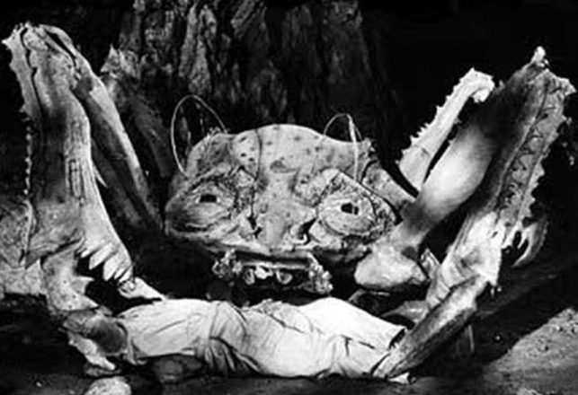 Are Zombie Crabs Causing a South Carolina Apocalypse?