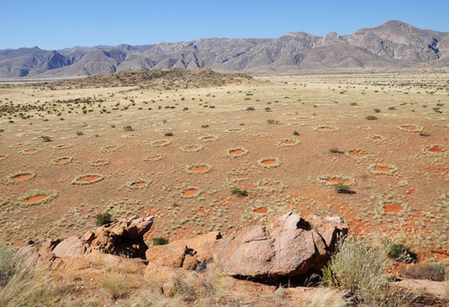 Termites Causing African Fairy Circles? It’s a Fairy Tale