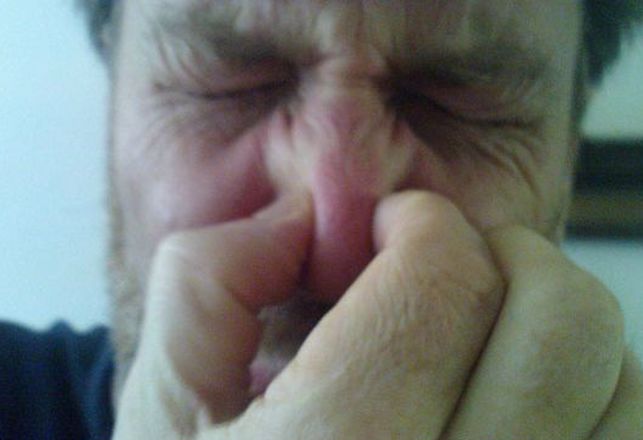 Feces Up Your Nose? It’s a Good Thing!