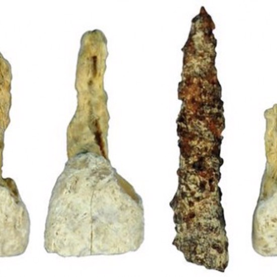 Oldest European False Tooth Found – No Evidence of Flossing