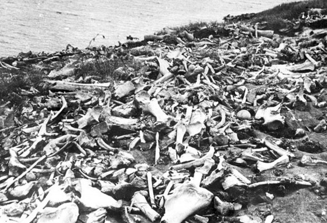Did Domesticated Dogs Help Bury the Mammoth?
