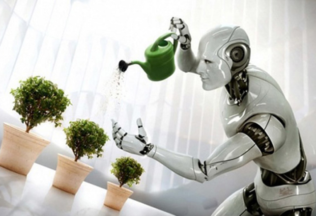 Robots Beware – This Plant Eats Metal!