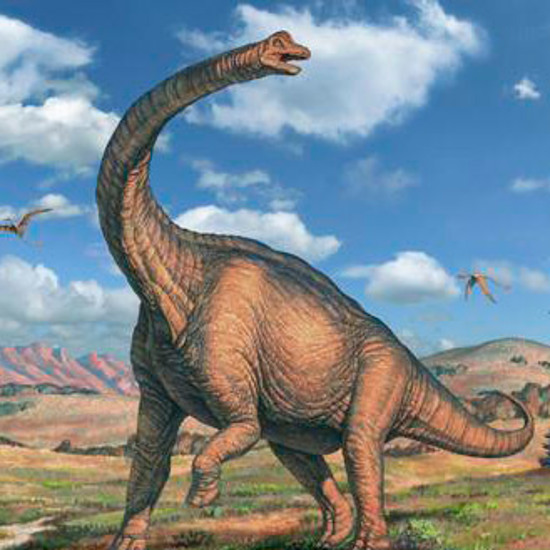 Newly-Discovered Dinosaur May Be the Largest Land Animal in History