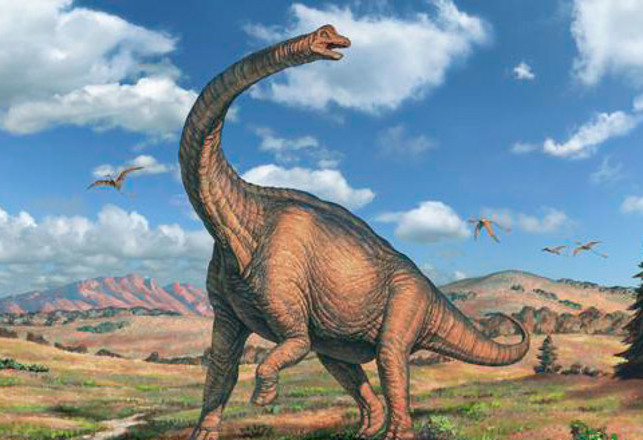 Newly-Discovered Dinosaur May Be the Largest Land Animal in History