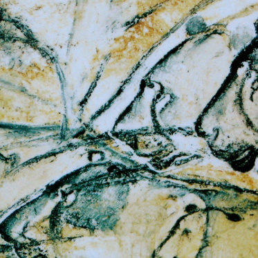 The Delicate Immortality of the Chauvet Cave Paintings