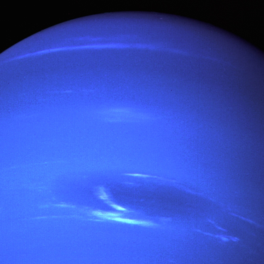 Is There Life on Neptune?