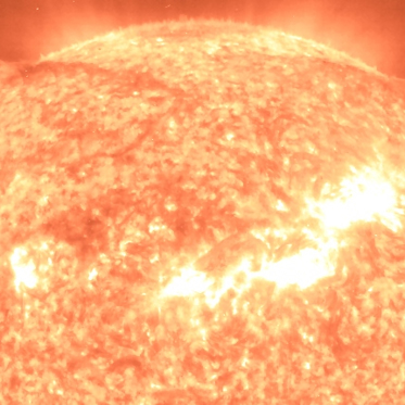 Could There Be Life on the Sun?