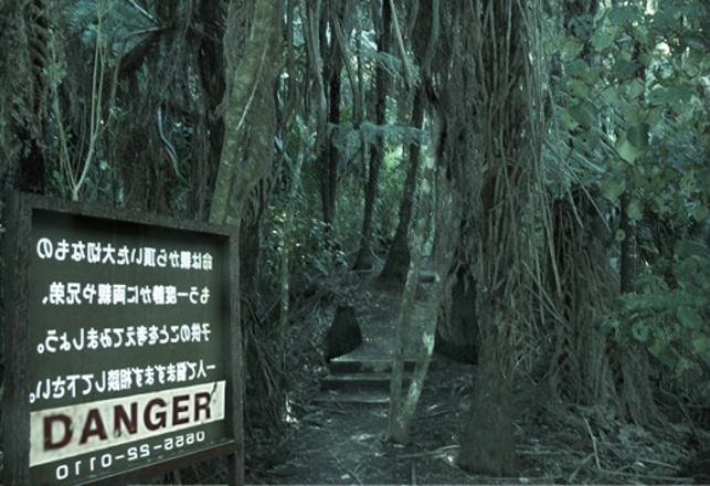 Japan’s Eerie “Forest of the Damned” is a Magnet For Suicides