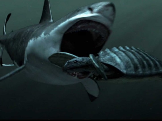 how-the-60-foot-long-ancient-shark-megalodon-ripped-apart-giant-whales