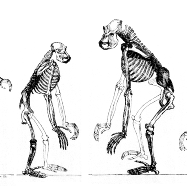 Resurrected Ancient Mutant Molecule Helps Biologists “Time Travel”