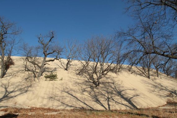 travel-tips-mount-baldy-king-indiana-dunes-north-face