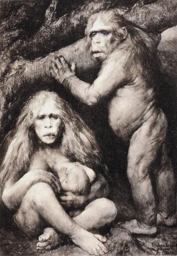 1894-haeckel-pithecanthropus-ape-man-crop-paul-d-stewart