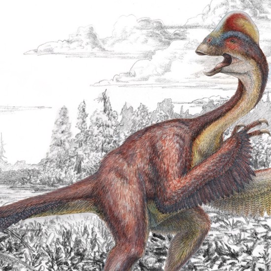 Scientists Rethink the Chicken and the Dinosaur