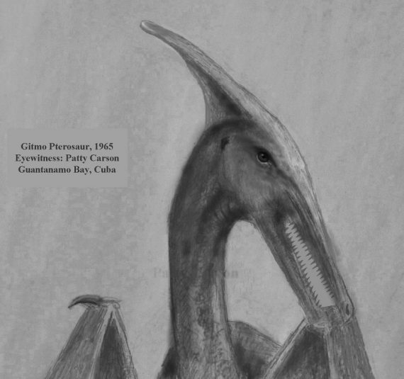 Gitmo Pterosaur 33 grey med large 570x535