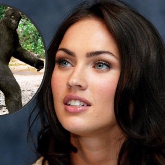 Megan Fox Thinks She Can Find Bigfoot