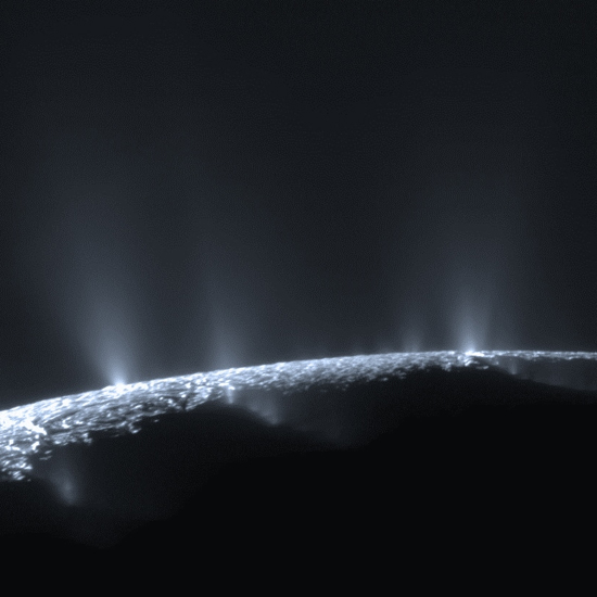 The Geysers of Enceladus May Reveal Extraterrestrial Life