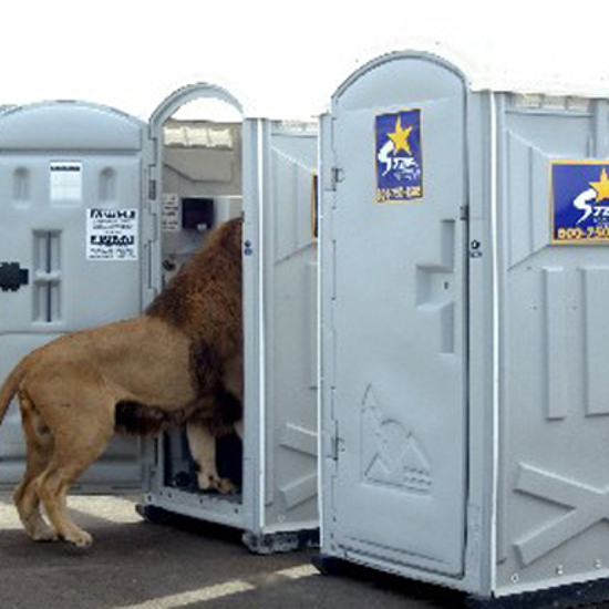 Fascinating (Not Gross) Fact About Animal Urination