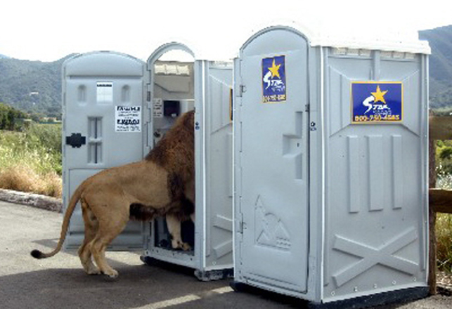 Fascinating (Not Gross) Fact About Animal Urination