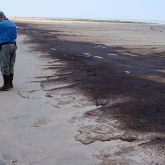 Is There a Cure for Oil Spills?