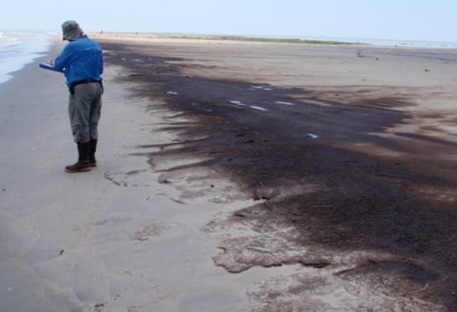 Is There a Cure for Oil Spills?