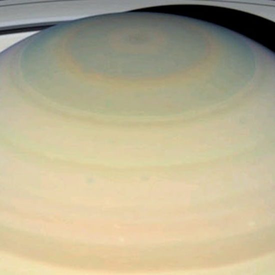 Is There Life on Saturn?