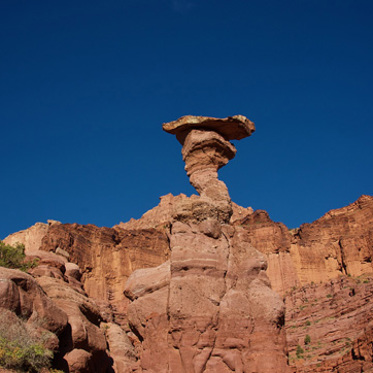 After 245 Million Years, The Cobra Loses Its Head