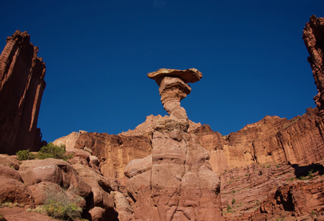 After 245 Million Years, The Cobra Loses Its Head