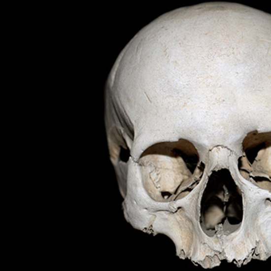 New Evidence Challenges Out of Africa Theory – How Old is Humanity?