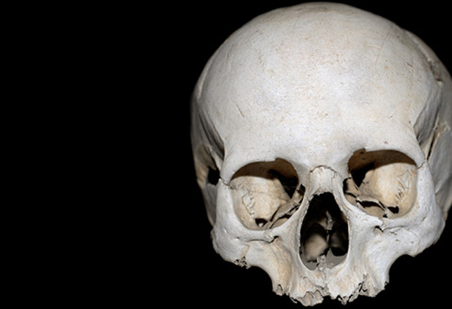New Evidence Challenges Out of Africa Theory – How Old is Humanity?