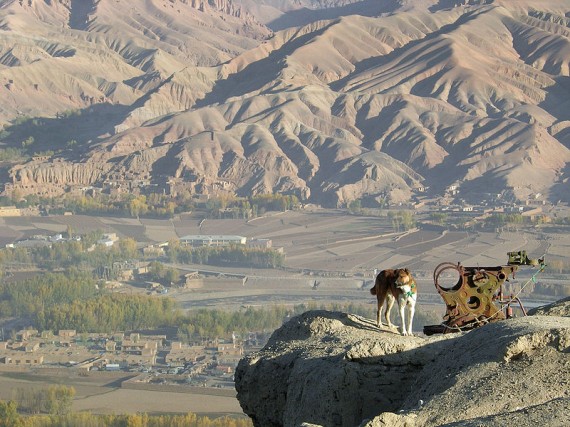 800px Explosive sniffer dog watches over the Bamiyan Valley Afghanistan 570x427