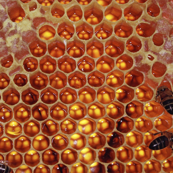 Bees Give This Honey a Psychedelic Buzz