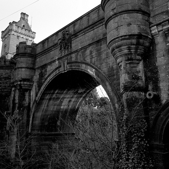 The Suicide Forest and Overtoun Bridge: What Makes Them So Deadly?