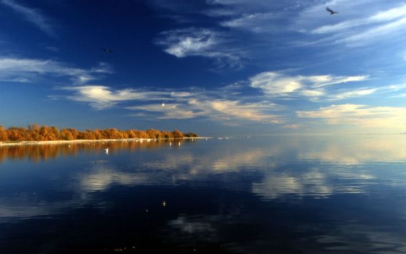 1024px Salton Sea Reflection 570x357